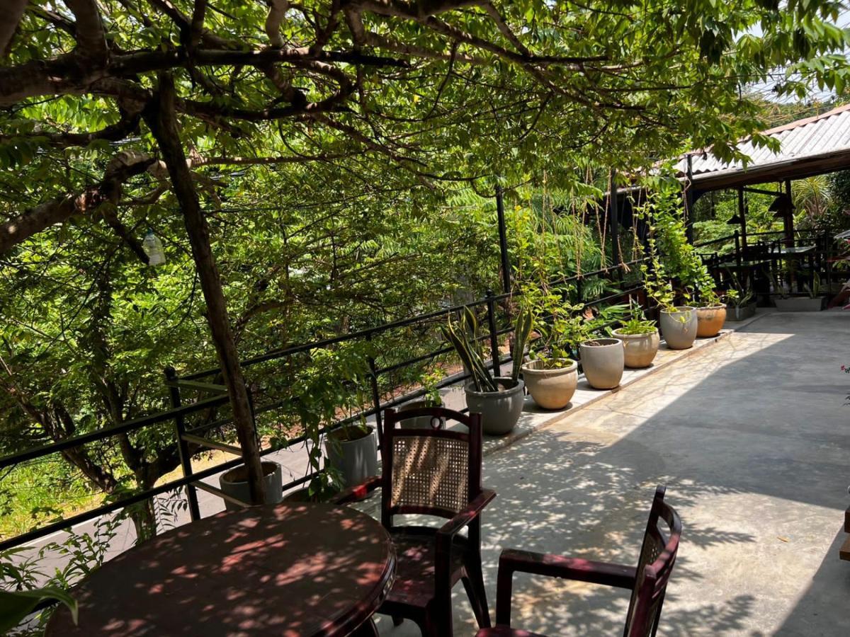 سيغيرِيا The Traveller'S Hostel & Private Rooms المظهر الخارجي الصورة