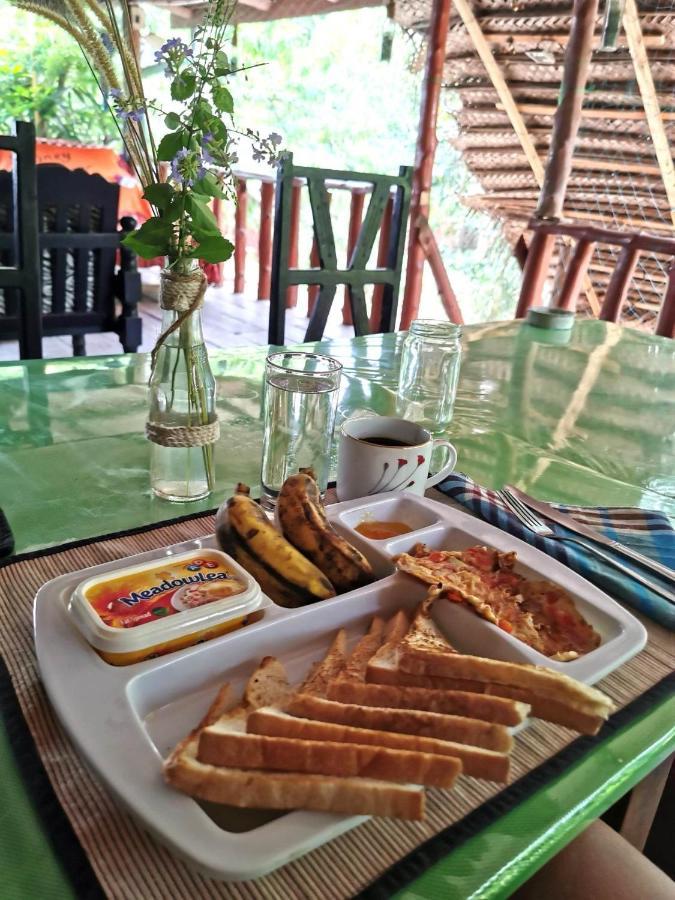 سيغيرِيا The Traveller'S Hostel & Private Rooms المظهر الخارجي الصورة